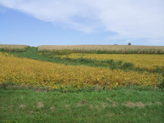 0 Laube Road Durand, IL 61024 - Photo 1 of 3