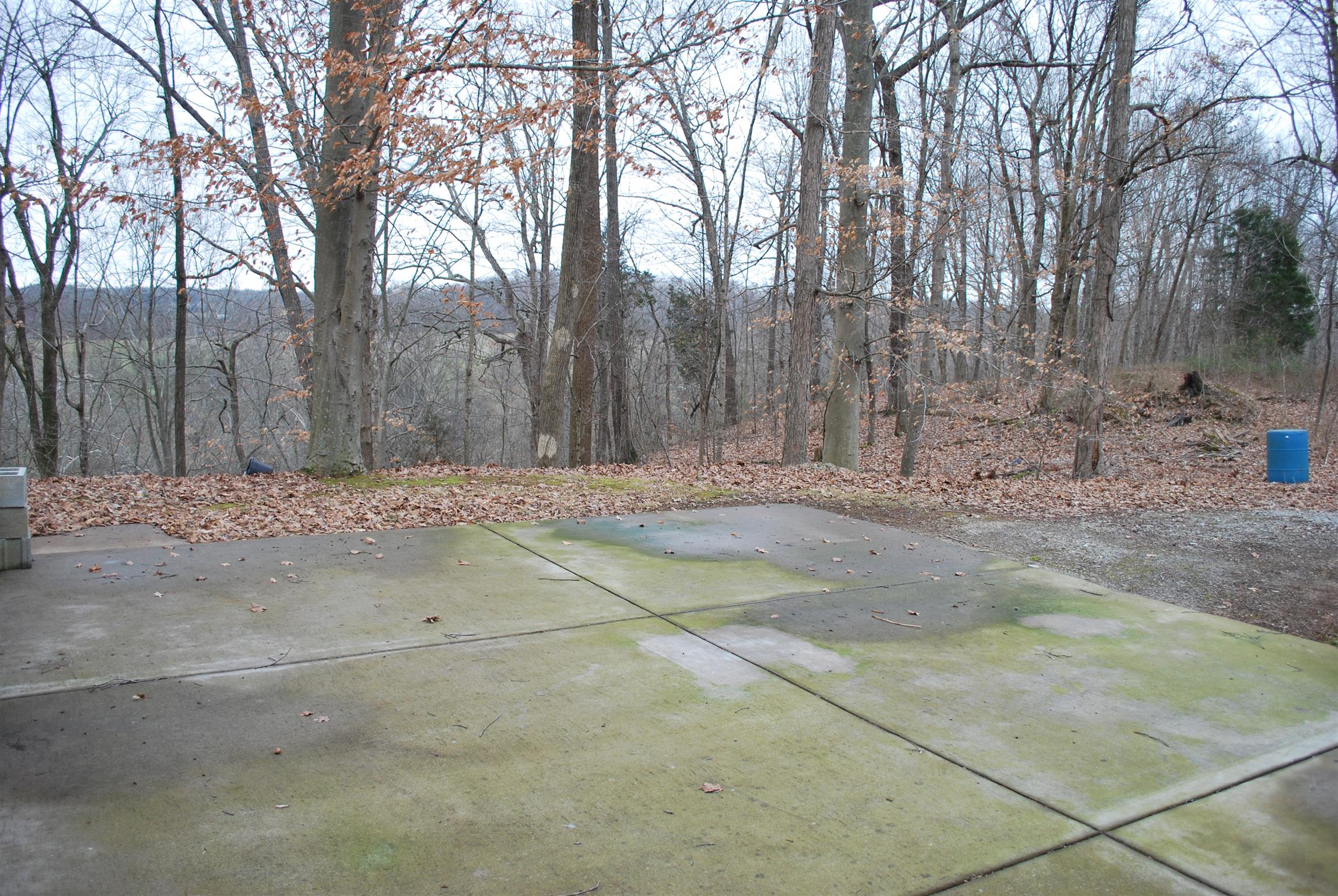 5569 Keysburg Road Adams, TN 37010 - Photo 8 of 30