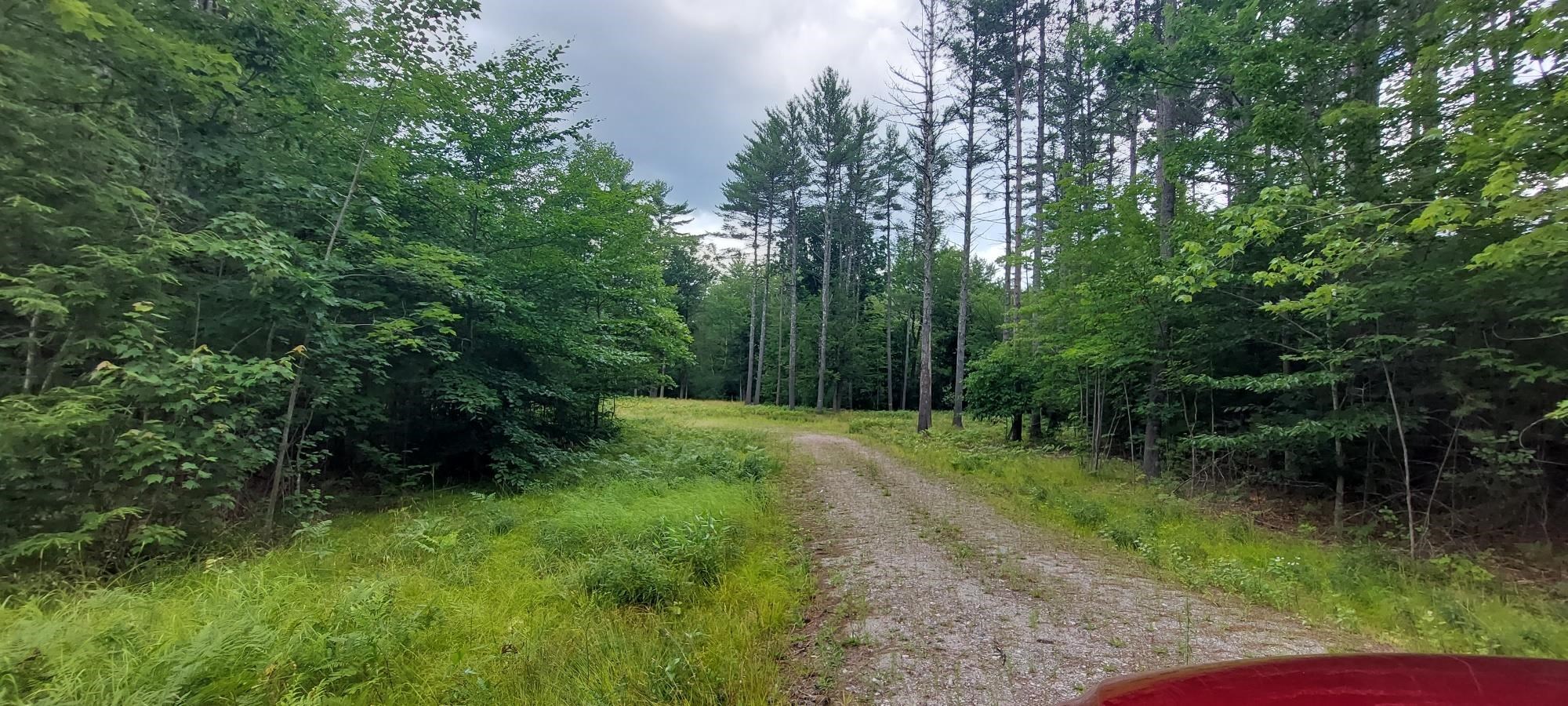 97 Shaw Hill Road Sanbornton, NH 03269 - Photo 3 of 12