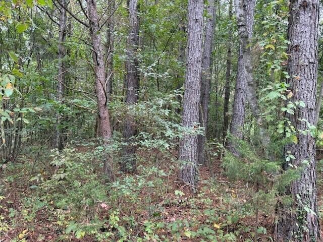 5 Fagin Road Madisonville, TN 37354 - Photo 14 of 33 Gallery Image 14