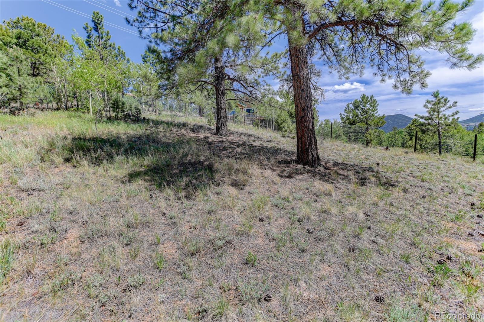 606 Clark Road Bailey, CO 80421 - Photo 37 of 40