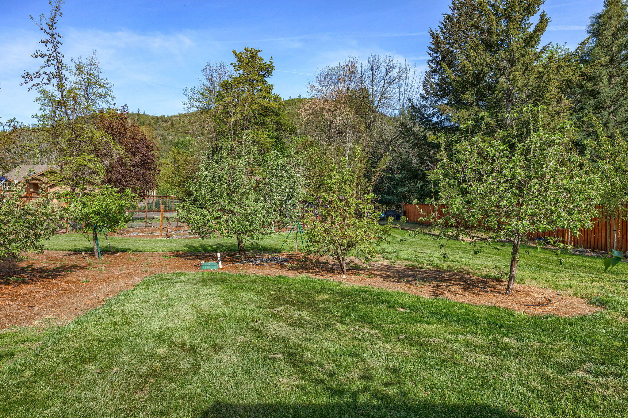 343 Rene Drive Shady Cove, OR 97539 - Photo 69 of 152 Yard