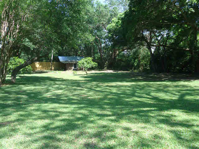 15788 Old Pierce Road Fairhope, AL 36532 - Photo 24 of 27 Side Yard