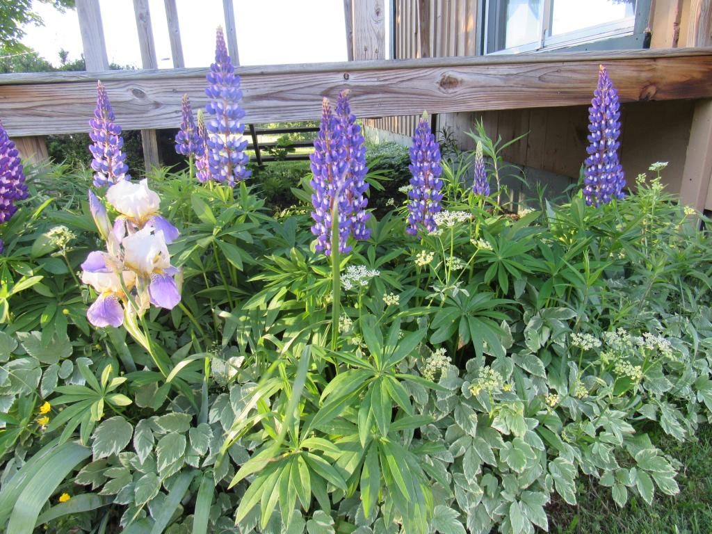 3390 Carter Road Lowell, VT 05847 - Photo 4 of 33