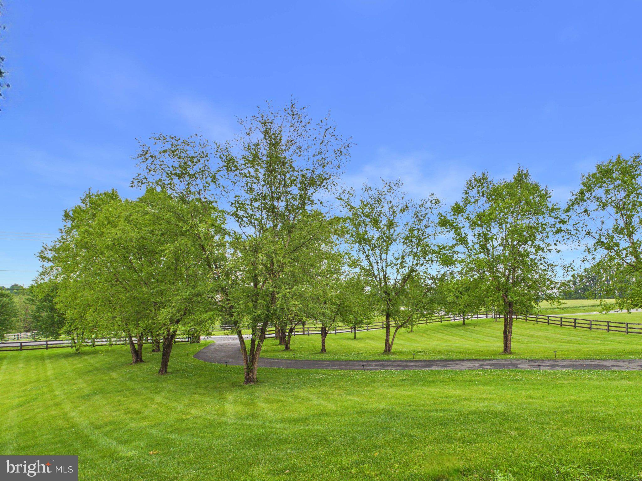 38565 Piggott Bottom Road Hamilton, VA 20158 - Photo 70 of 85 Lush greenery under a clear blue sky.