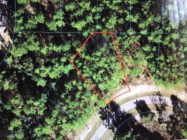 0 Southwest 139th St Road Ocala, FL 34473 - Photo 1 of 1