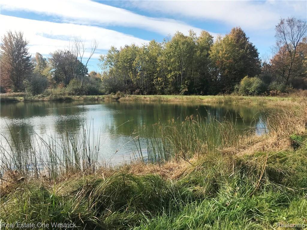 7585 Springborn Road Casco, MI 48064 - Photo 27 of 31 Pond 2.JPG