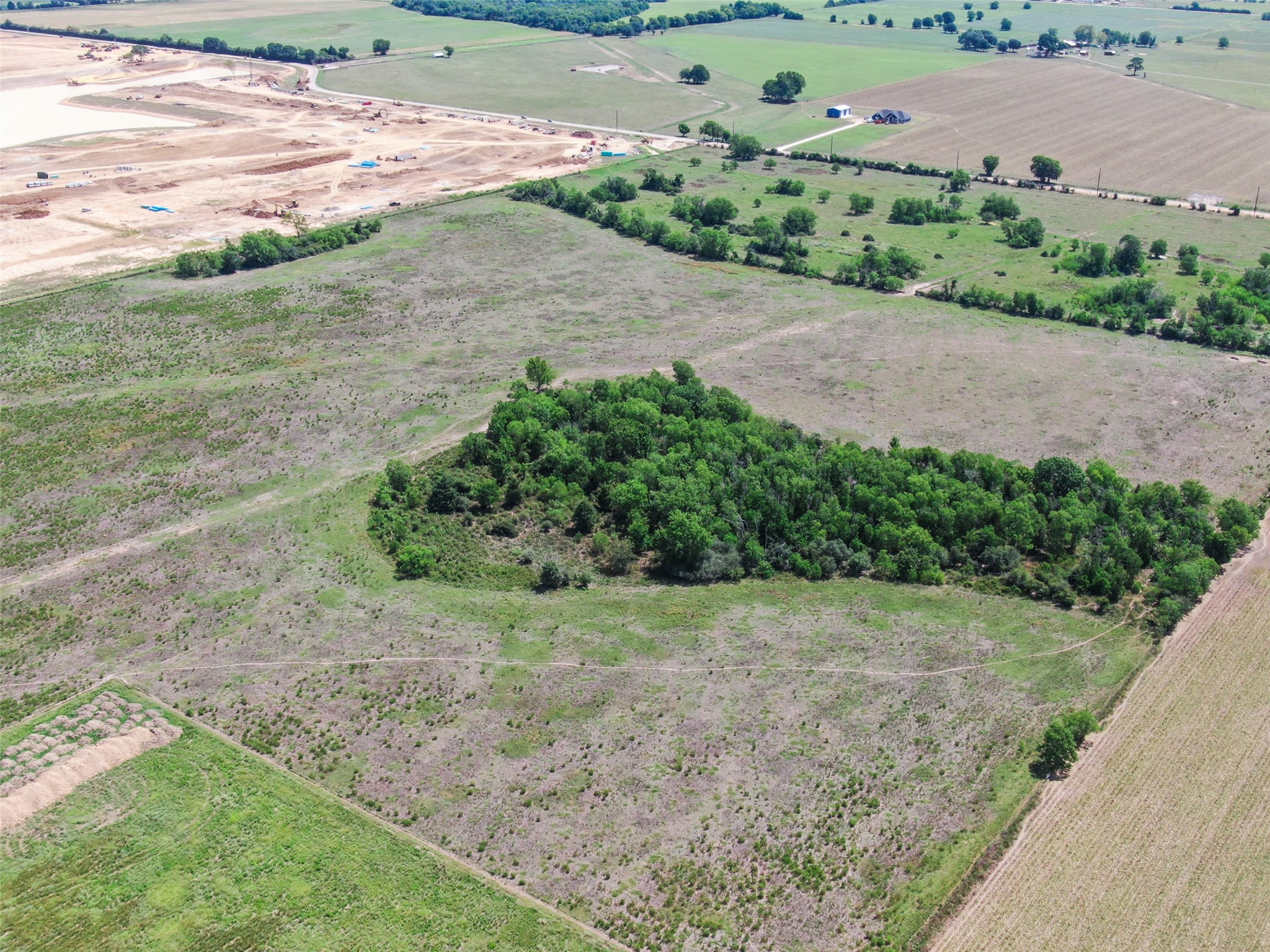 98-ac Field Store Road Waller, TX 77484 - Photo 10 of 13