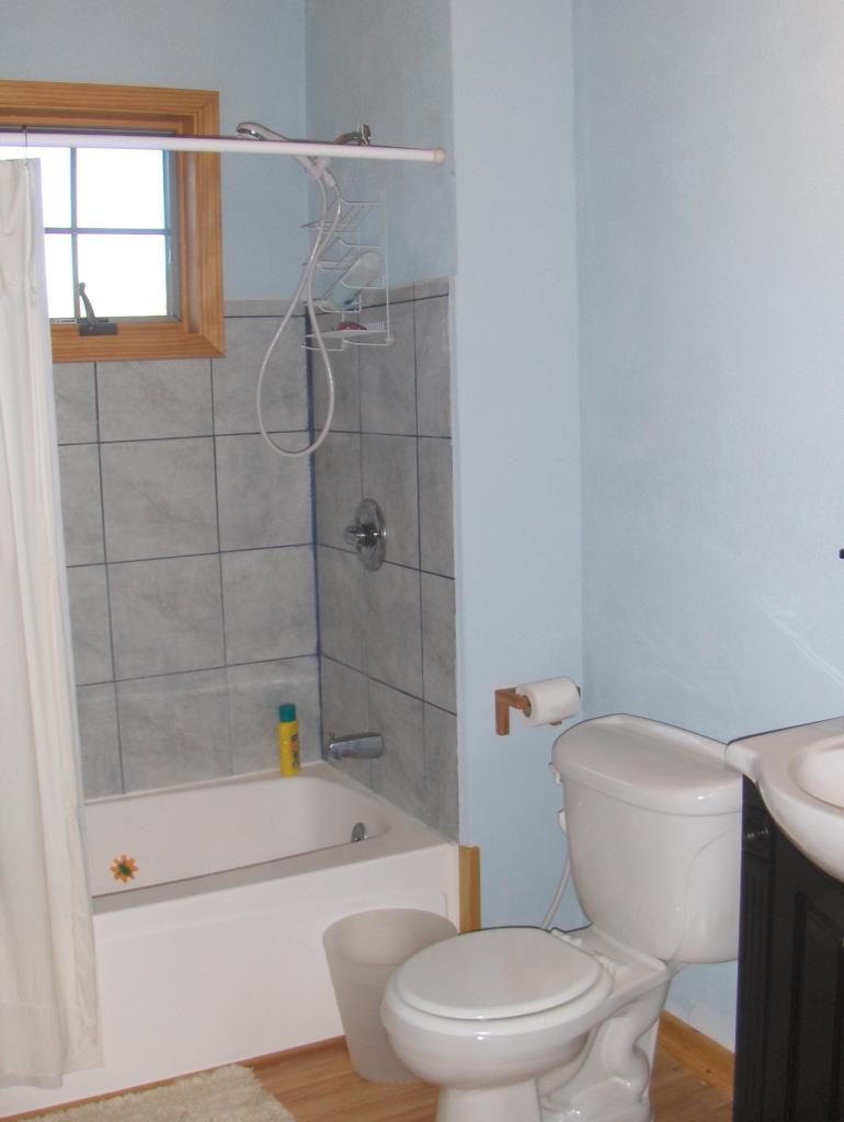 3220 Green Valley Road Peterstown, WV 24963 - Photo 12 of 43 master bath