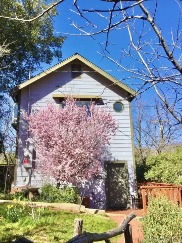 a view of a backyard with plants