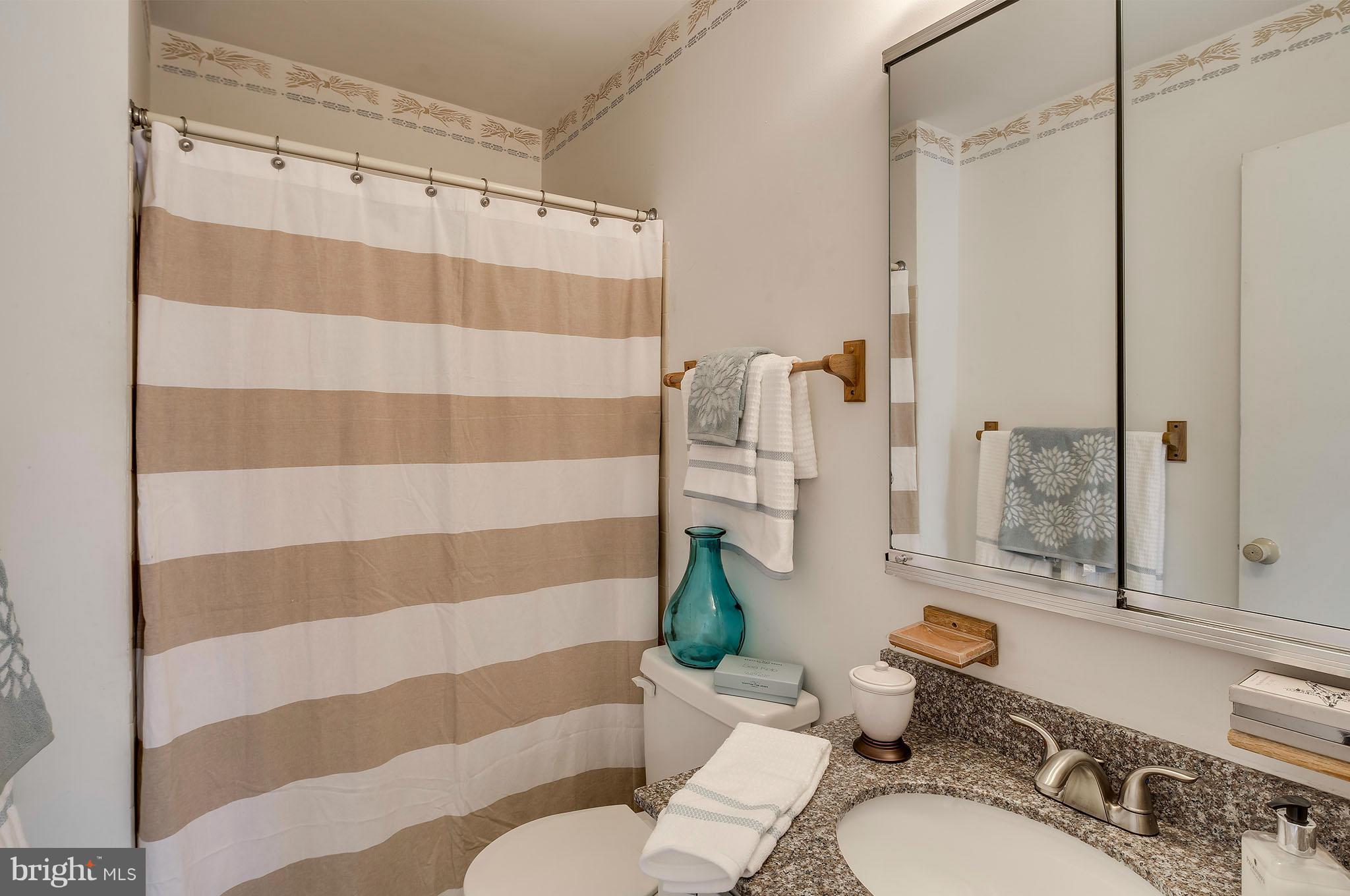1666 Ridgely Court Crofton, MD 21114 - Photo 13 of 24 Bath (Master)