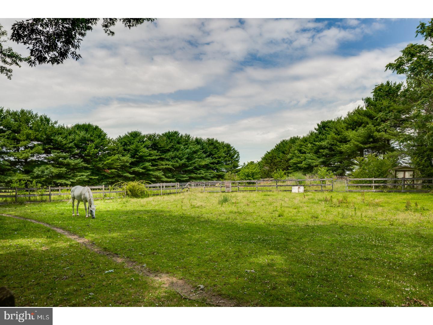 345 Church Road Medford, NJ 08055 - Photo 19 of 25 Back Yard