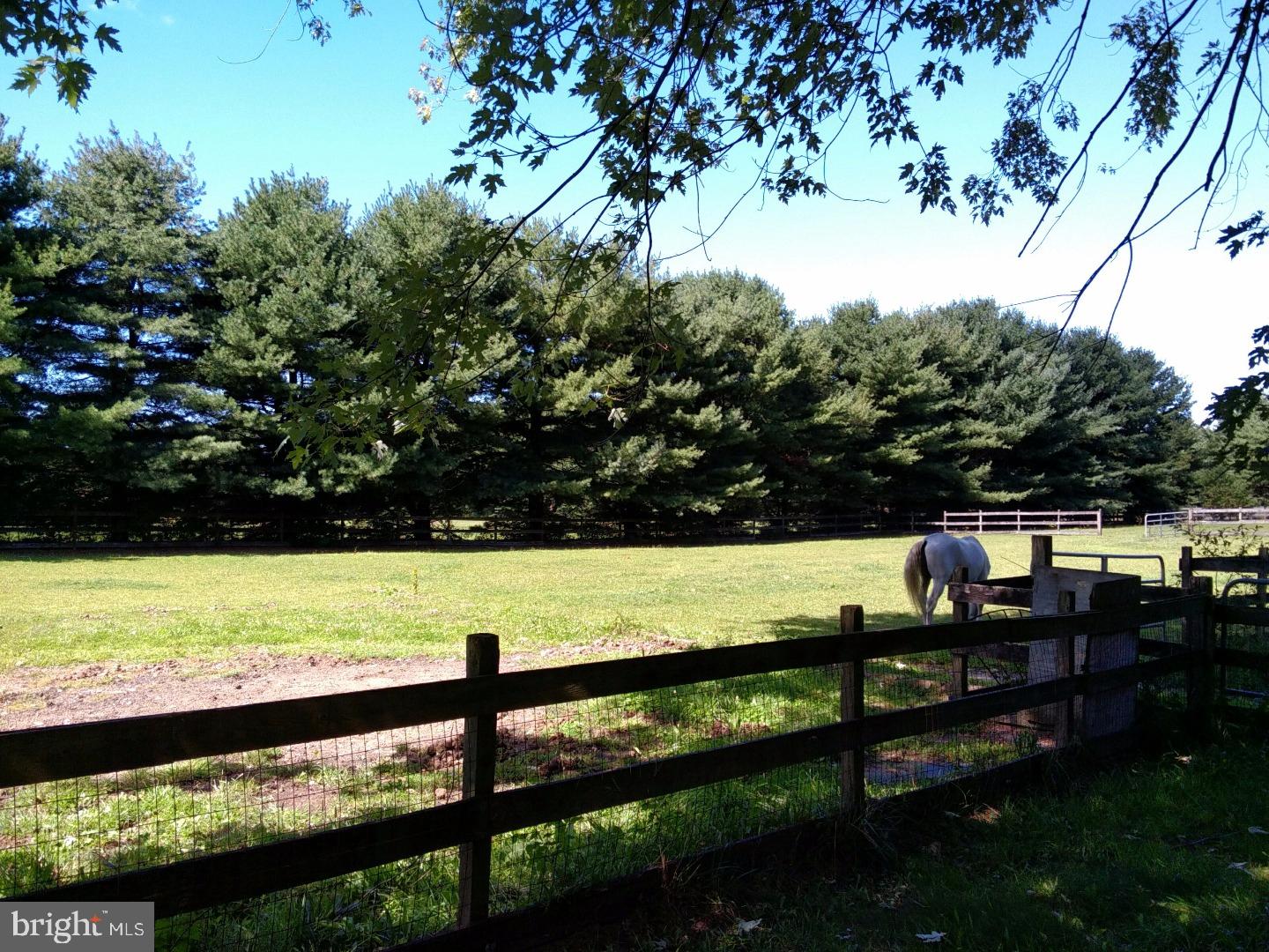 345 Church Road Medford, NJ 08055 - Photo 23 of 25