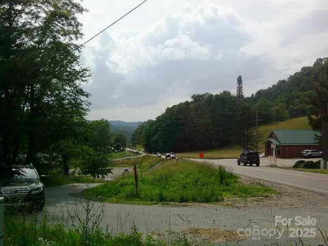 a view of a lush green forest