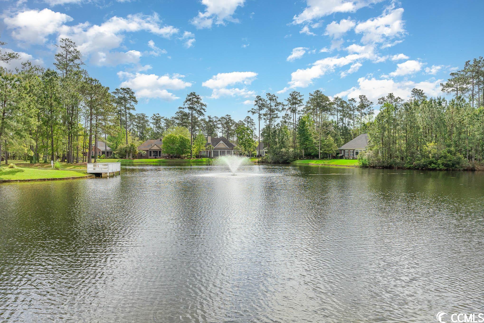 221 Low Country Loop Murrells Inlet, SC 29576 - Photo 37 of 38