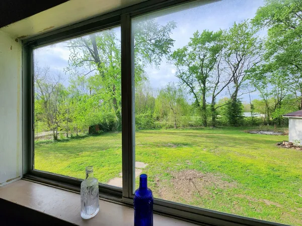 a view of a garden from a window