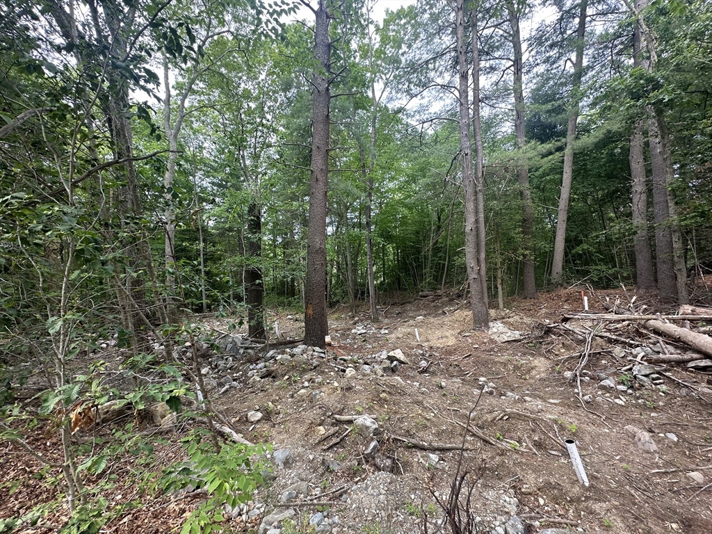 52 Round Farm Road Rehoboth, MA 02769 - Photo 2 of 4 a view of a forest filled with trees