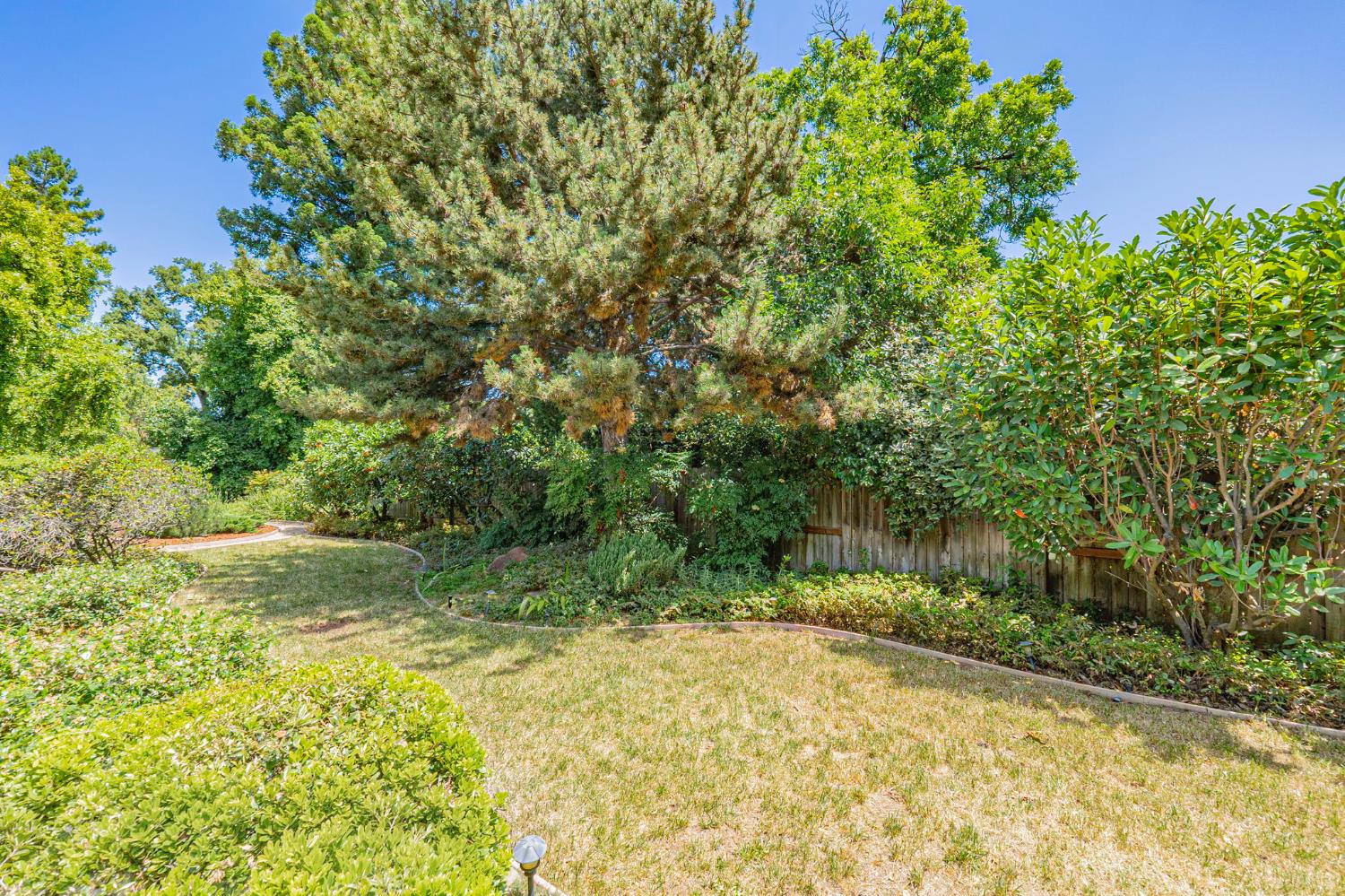 1912 Alpine Place Davis, CA 95616 - Photo 38 of 78