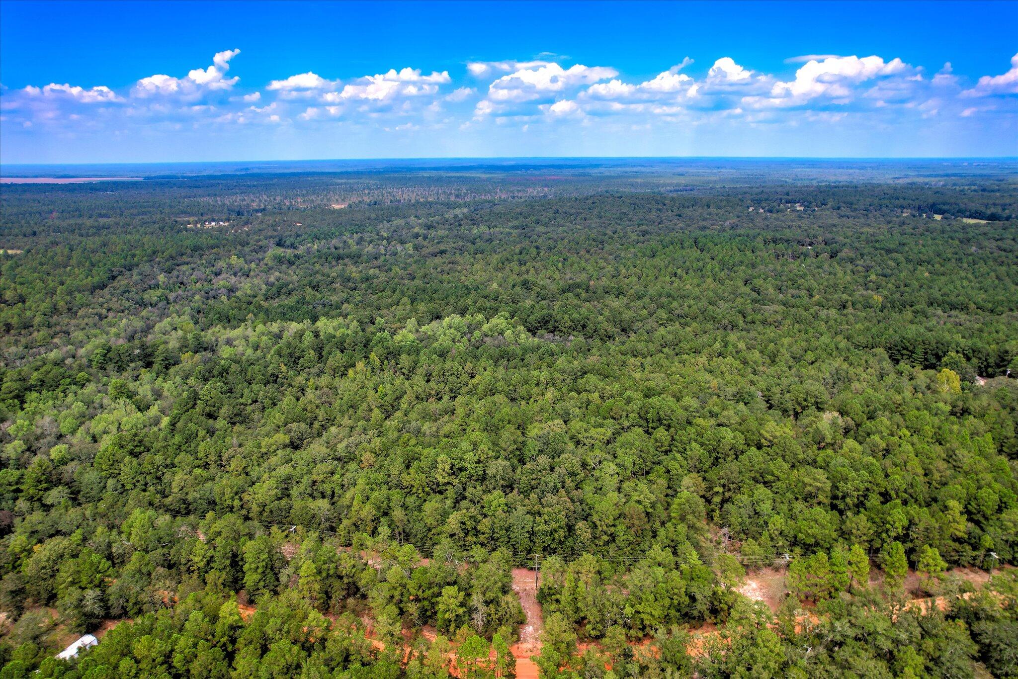 001 A Centerwood Road Williston, SC 29853 - Photo 4 of 19