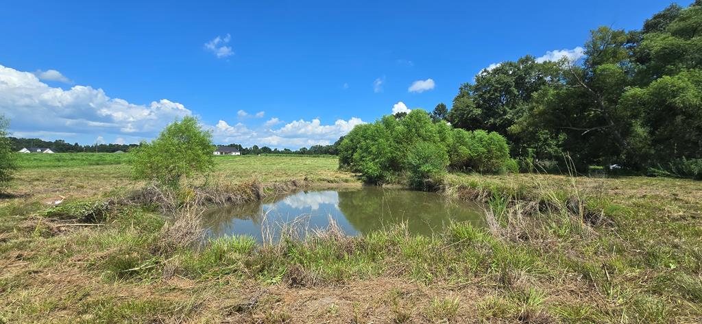 91 County Road 91 Slocomb, AL 36375 - Photo 18 of 18