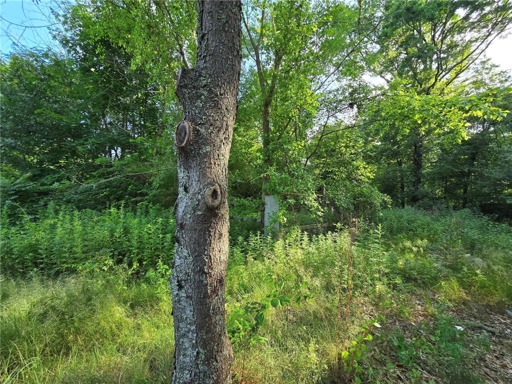 16 Vars Lane Westerly, RI 02808 - Photo 4 of 8