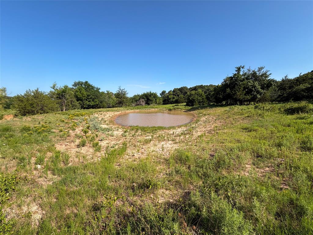 Tbd Carminati Road Montague, TX 76251 - Photo 18 of 32