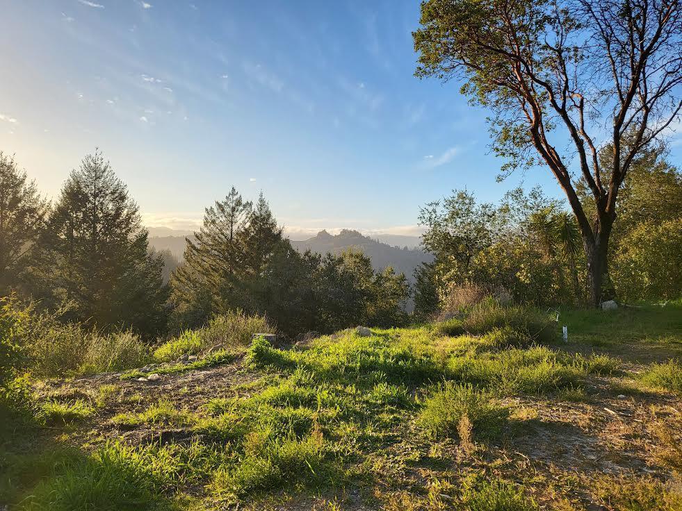 18060 Moonrise Road Boulder Creek, CA 95006 - Photo 11 of 31 a view of a lake with a tree in the background