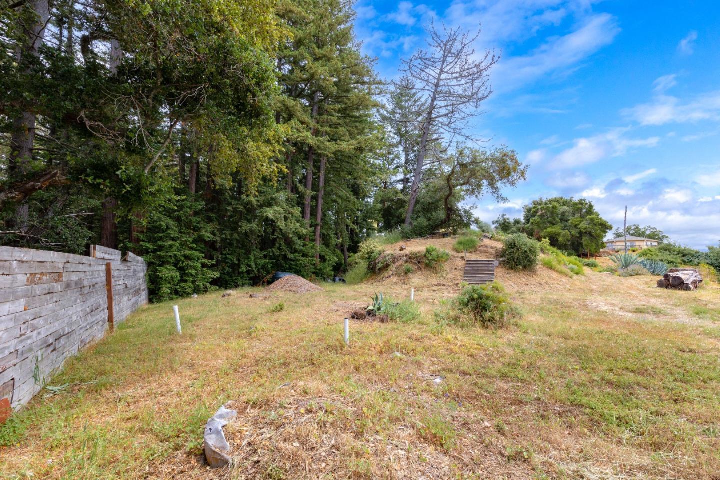 18060 Moonrise Road Boulder Creek, CA 95006 - Photo 18 of 31 a view of a yard with a tree