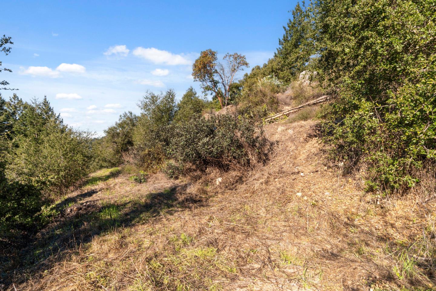 18060 Moonrise Road Boulder Creek, CA 95006 - Photo 24 of 31 a view of a forest