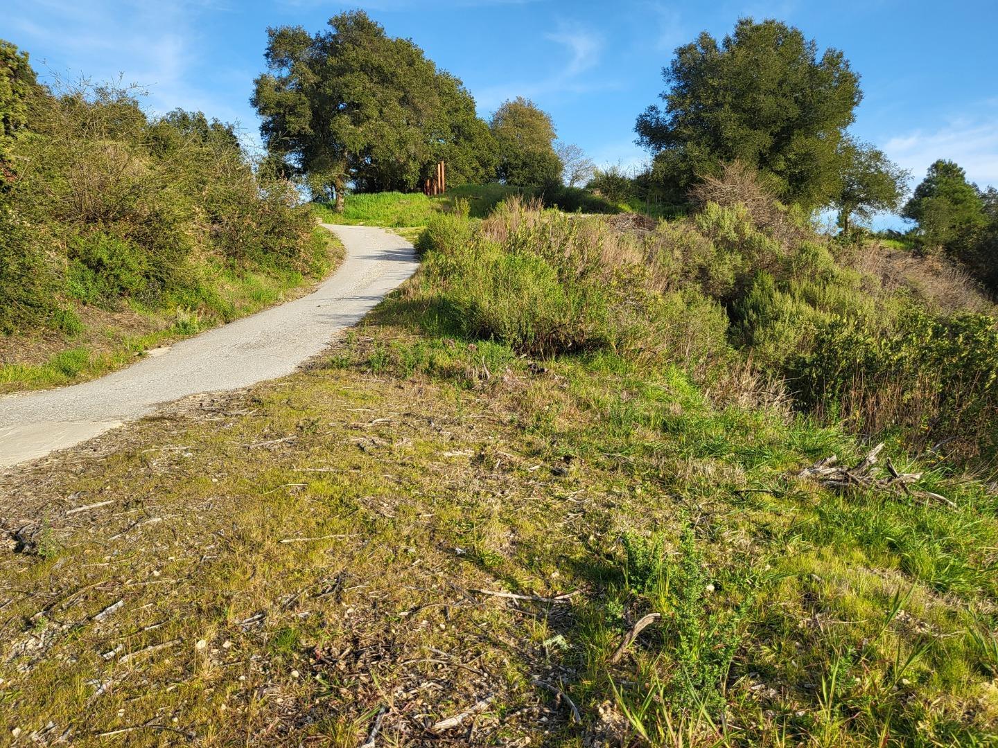 18060 Moonrise Road Boulder Creek, CA 95006 - Photo 30 of 31 a view of a yard with yellow house