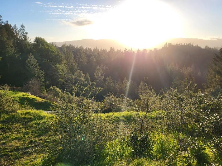 18060 Moonrise Road Boulder Creek, CA 95006 - Photo 8 of 31 a view of a yard