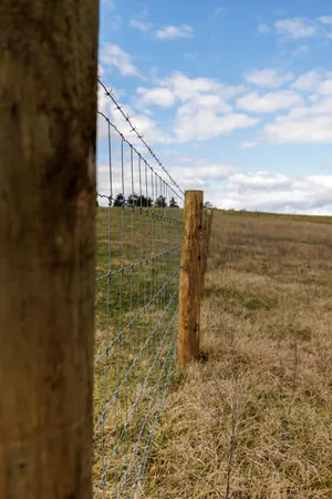 a view of a pathway both side of a building