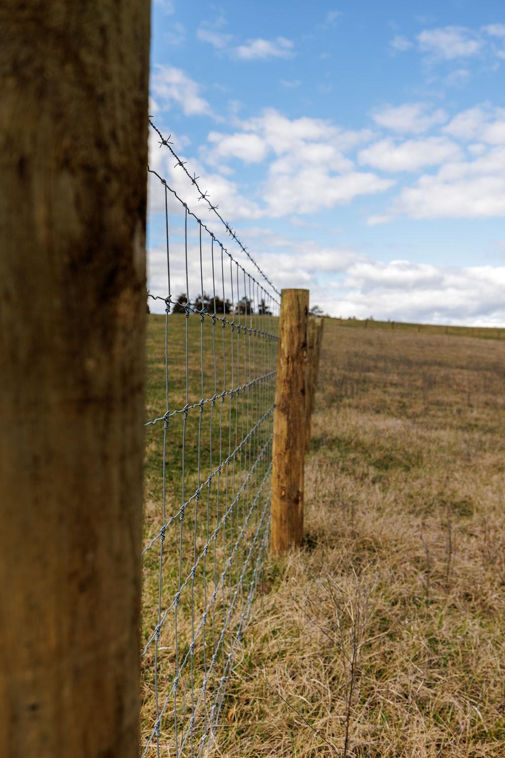 Tbd Naked Creek Hollow Road Weyers Cave, VA 24486 - Photo 7 of 27