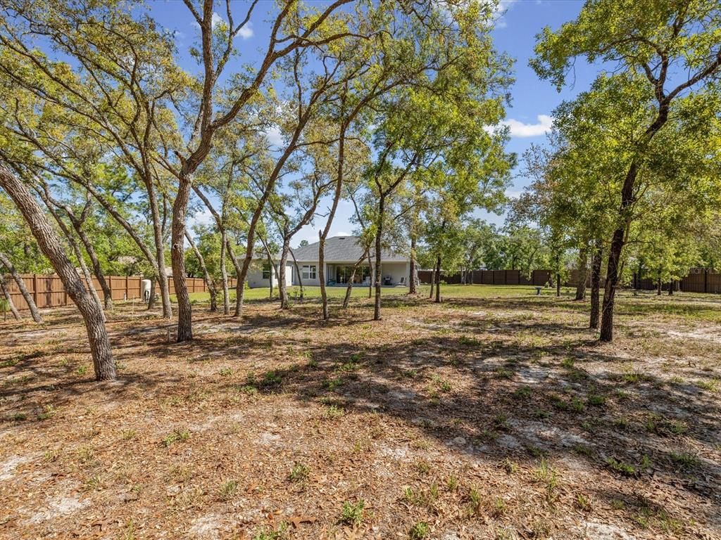 11981 Robina Road Weeki Wachee, FL 34614 - Photo 60 of 93