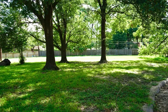a view of yard with trees