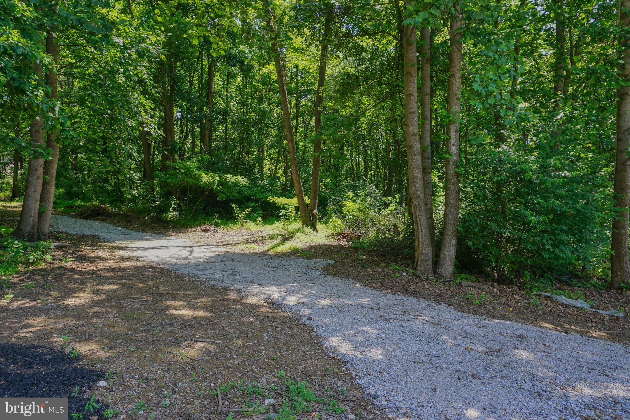 4815 Zeiglers Church Road Spring Grove, PA 17362 - Photo 102 of 122 a view of a forest with trees in the background