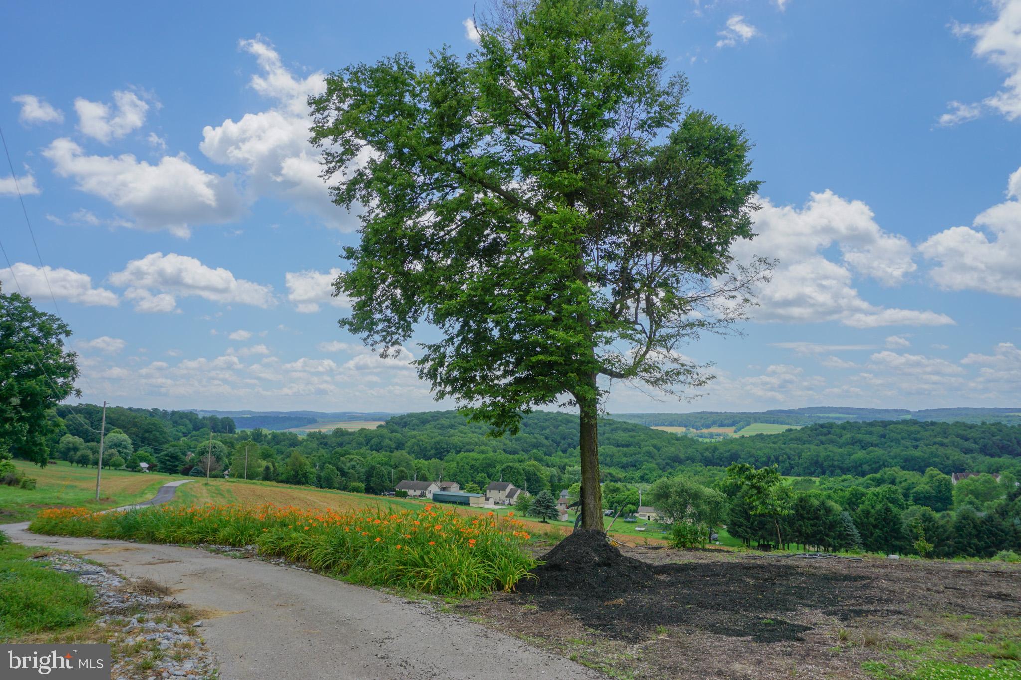 4815 Zeiglers Church Road Spring Grove, PA 17362 - Photo 109 of 122