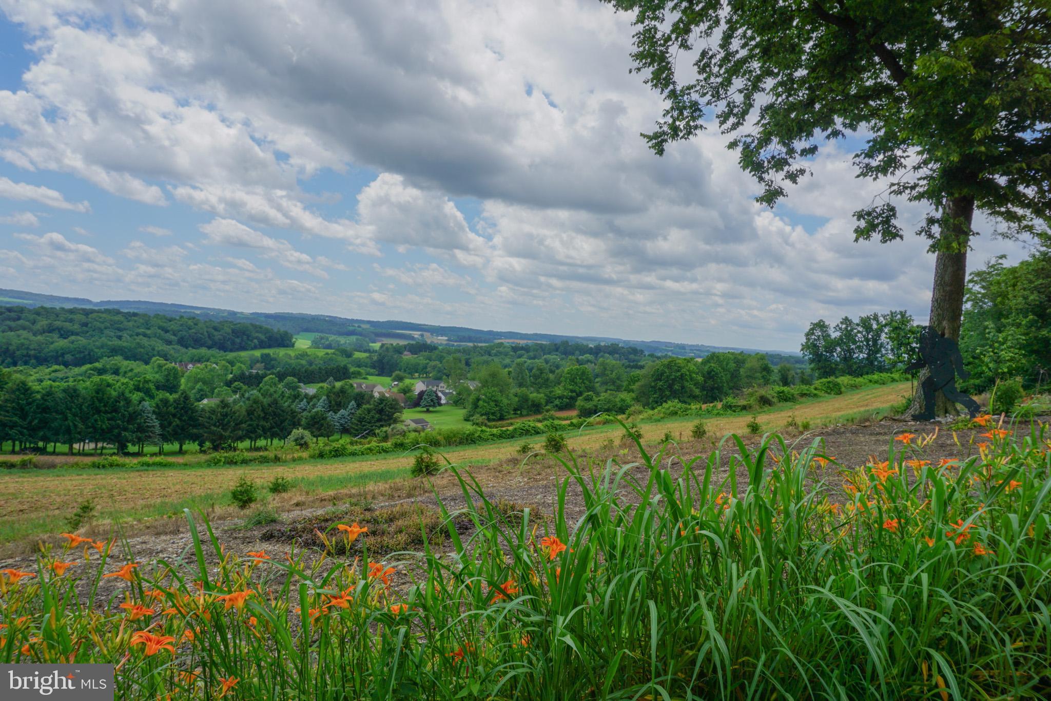 4815 Zeiglers Church Road Spring Grove, PA 17362 - Photo 114 of 122