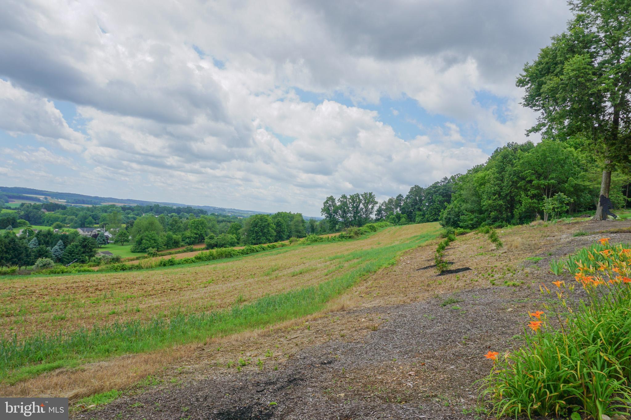 4815 Zeiglers Church Road Spring Grove, PA 17362 - Photo 115 of 122 a view of a big yard with plants and large trees