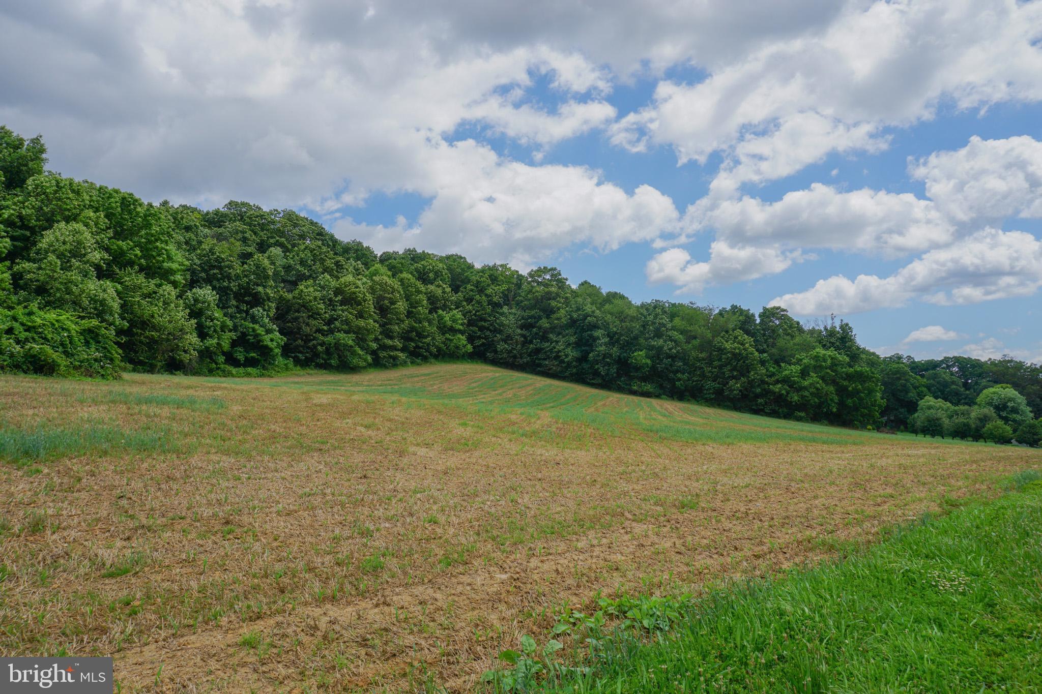 4815 Zeiglers Church Road Spring Grove, PA 17362 - Photo 118 of 122 a view of a big yard with lots of green space
