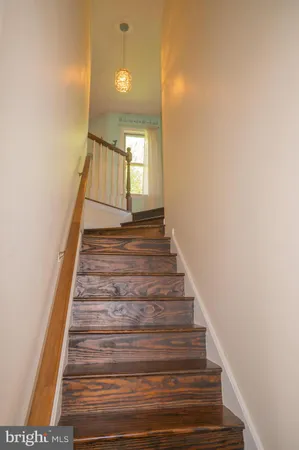 a view of a big yard with plants and large trees