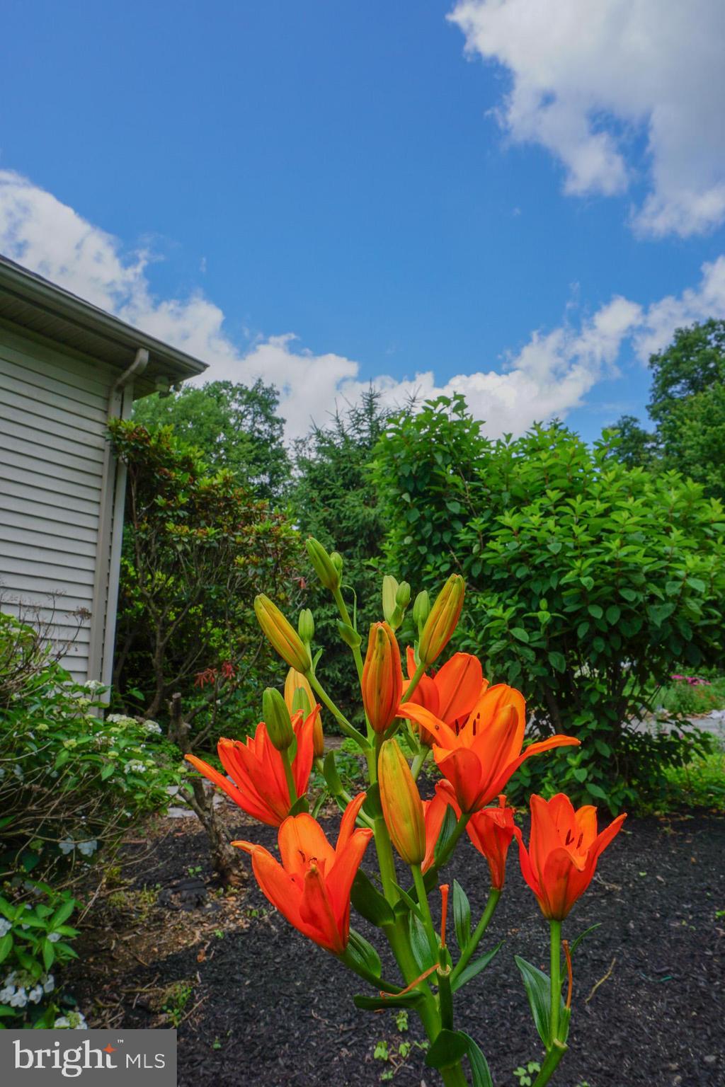 4815 Zeiglers Church Road Spring Grove, PA 17362 - Photo 79 of 122