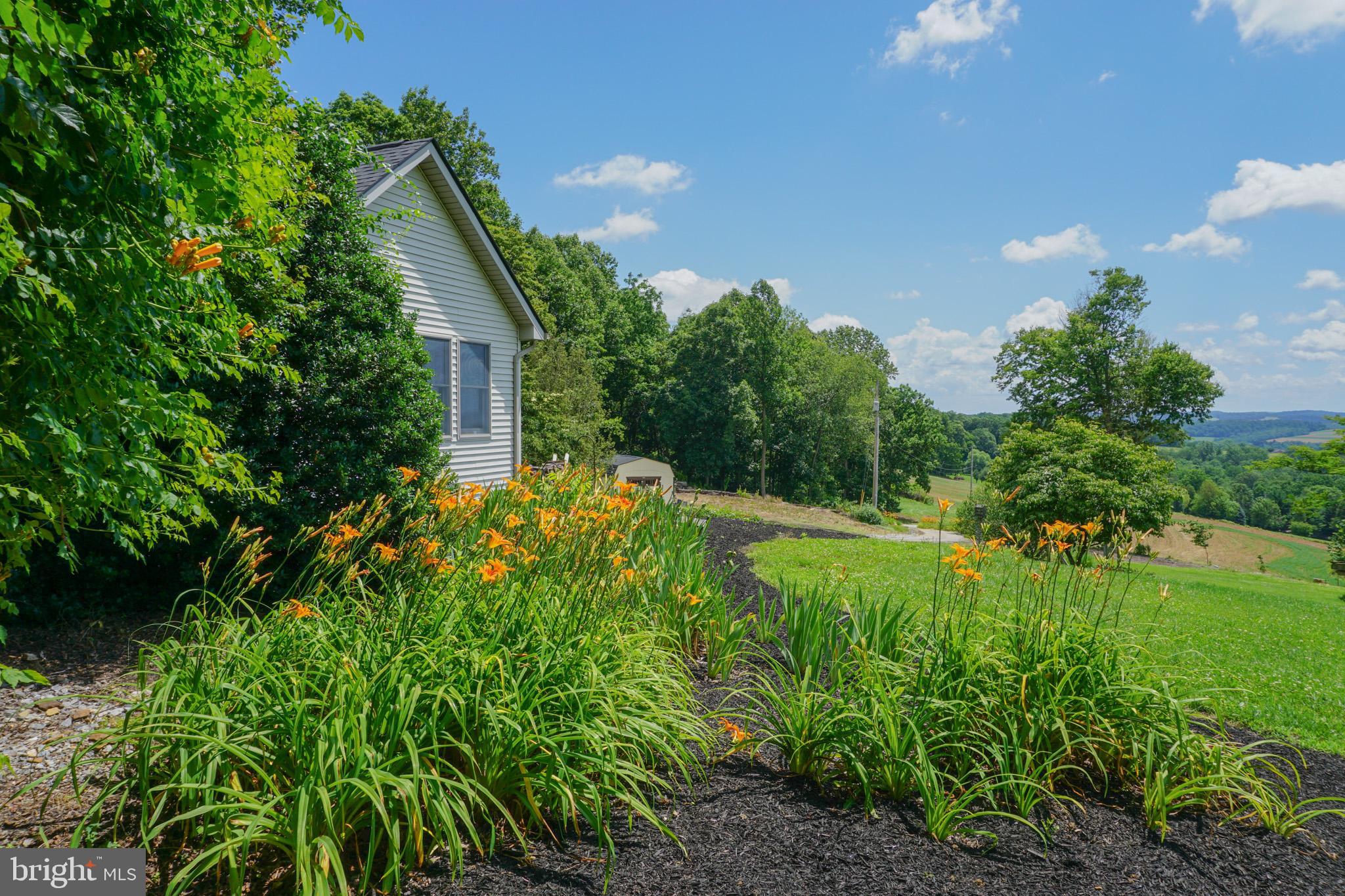 4815 Zeiglers Church Road Spring Grove, PA 17362 - Photo 83 of 122 a backyard of a house with lots of green space