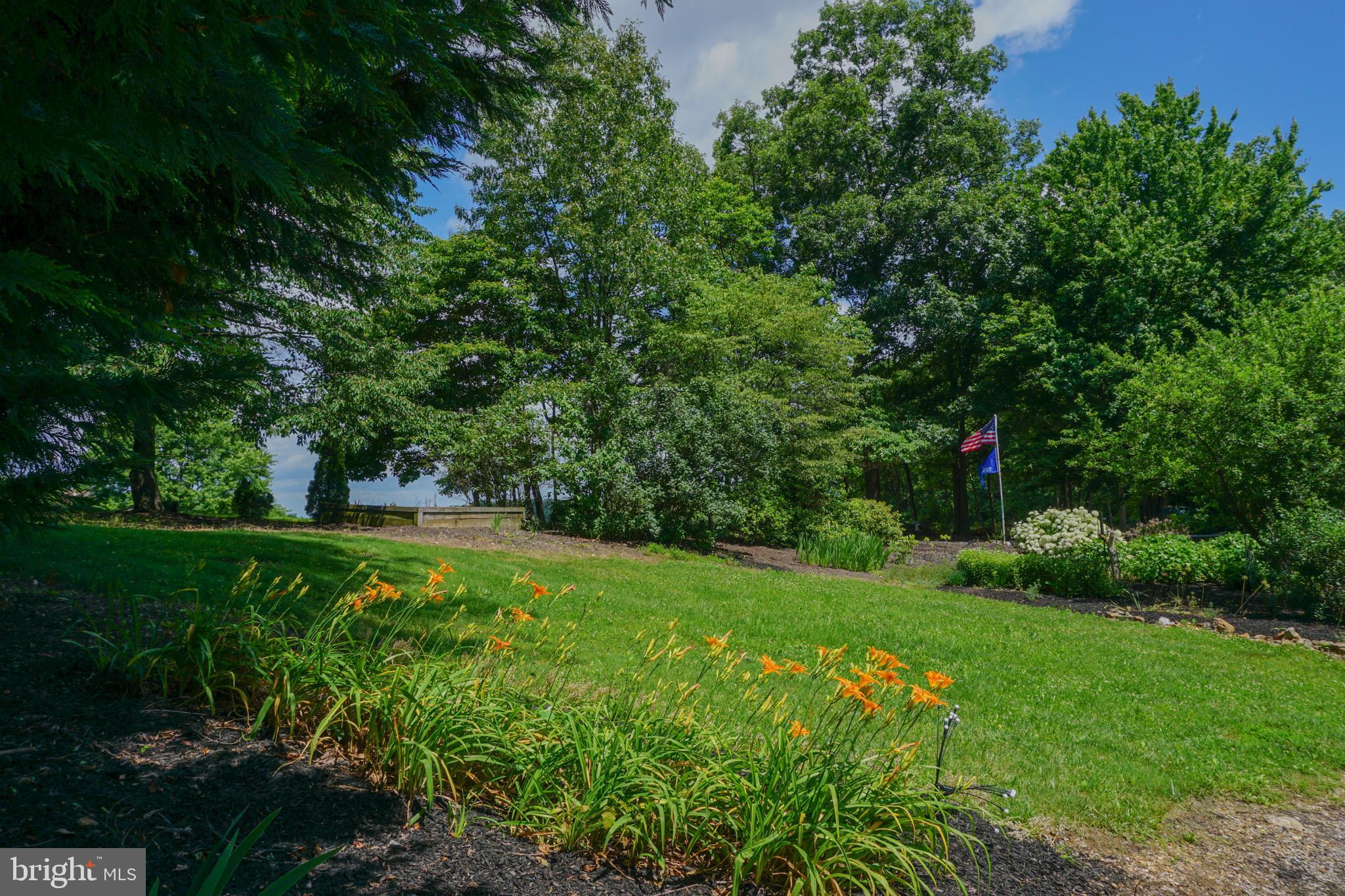4815 Zeiglers Church Road Spring Grove, PA 17362 - Photo 96 of 122 a view of a garden with large trees