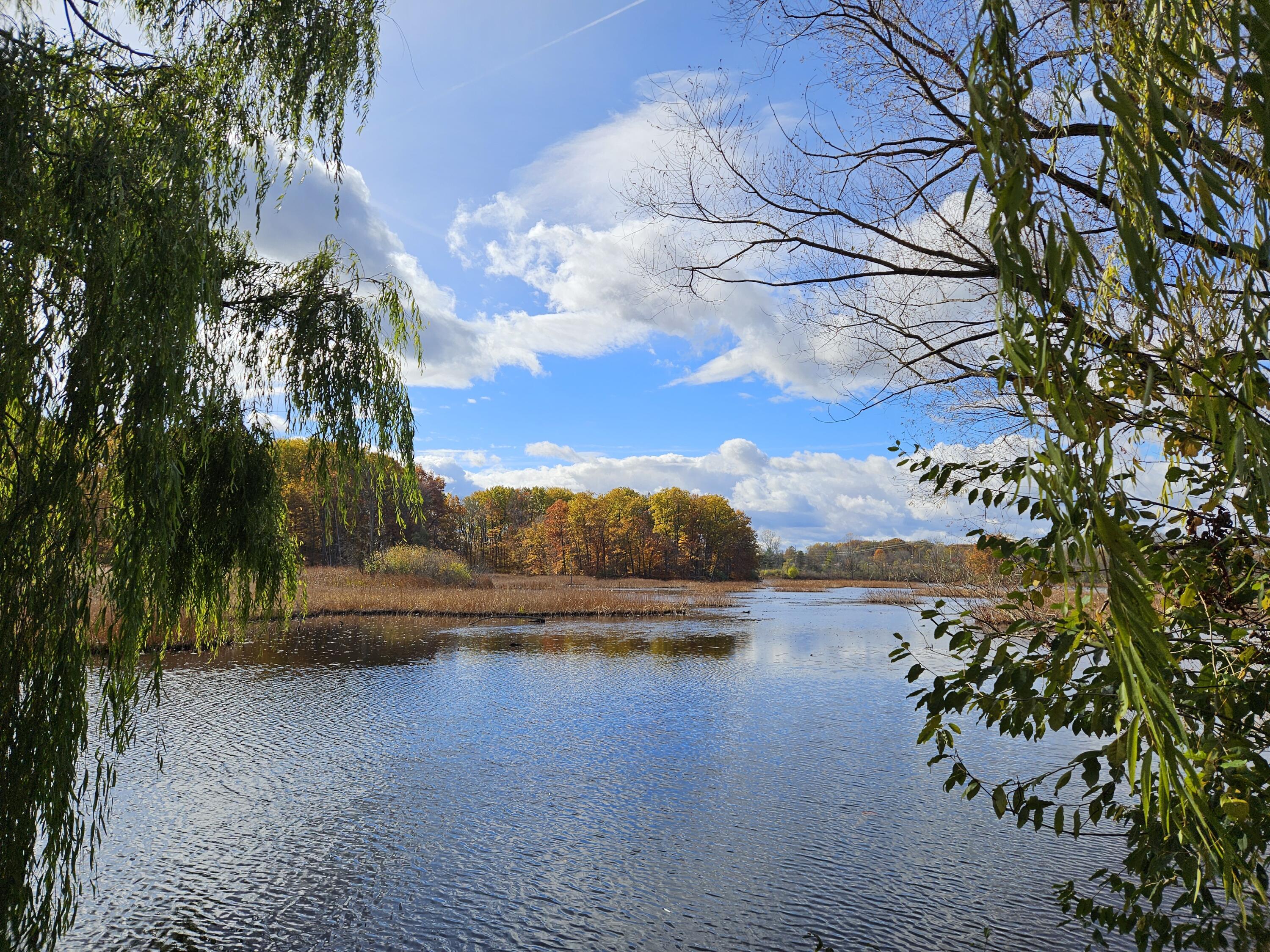 121 Davis Lake Road Lapeer, MI 48446 - Photo 9 of 43 20251031_124401