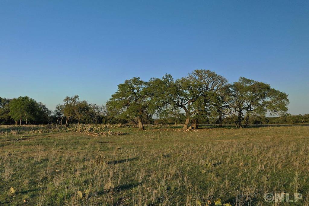 Tbd Tbd Avila Ridge Drive, Unit 43 Kerrville, TX 78028 - Photo 1 of 8 Main View