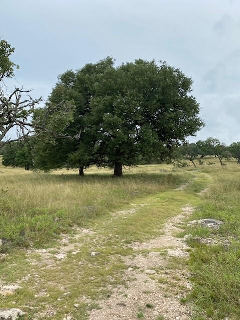 Tbd Tbd Avila Ridge Drive, Unit 43 Kerrville, TX 78028 - Photo 3 of 8