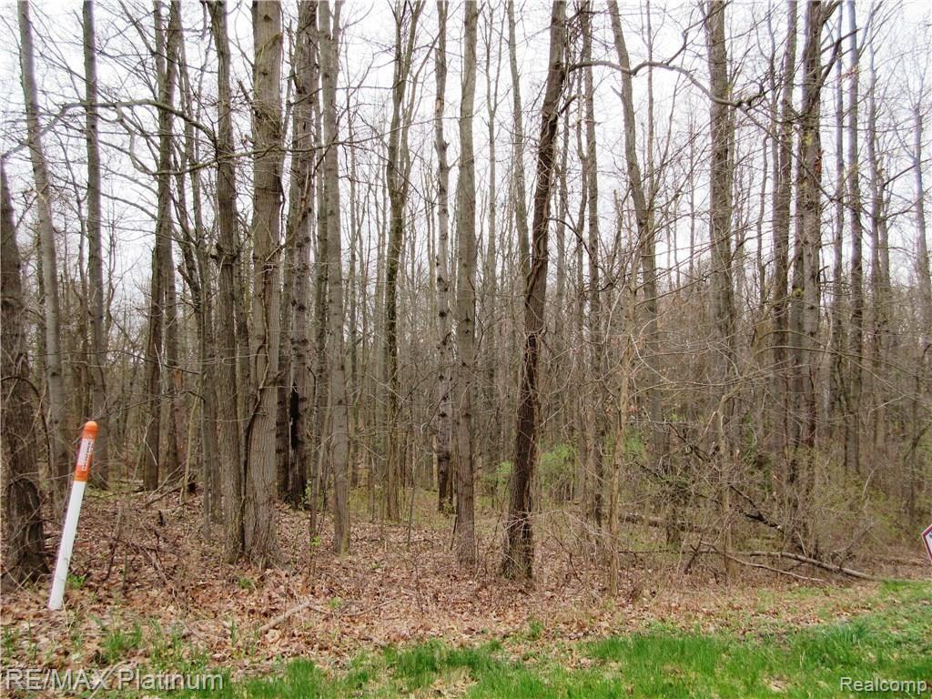 2 Maltby Road Brighton, MI 48116 - Photo 6 of 7