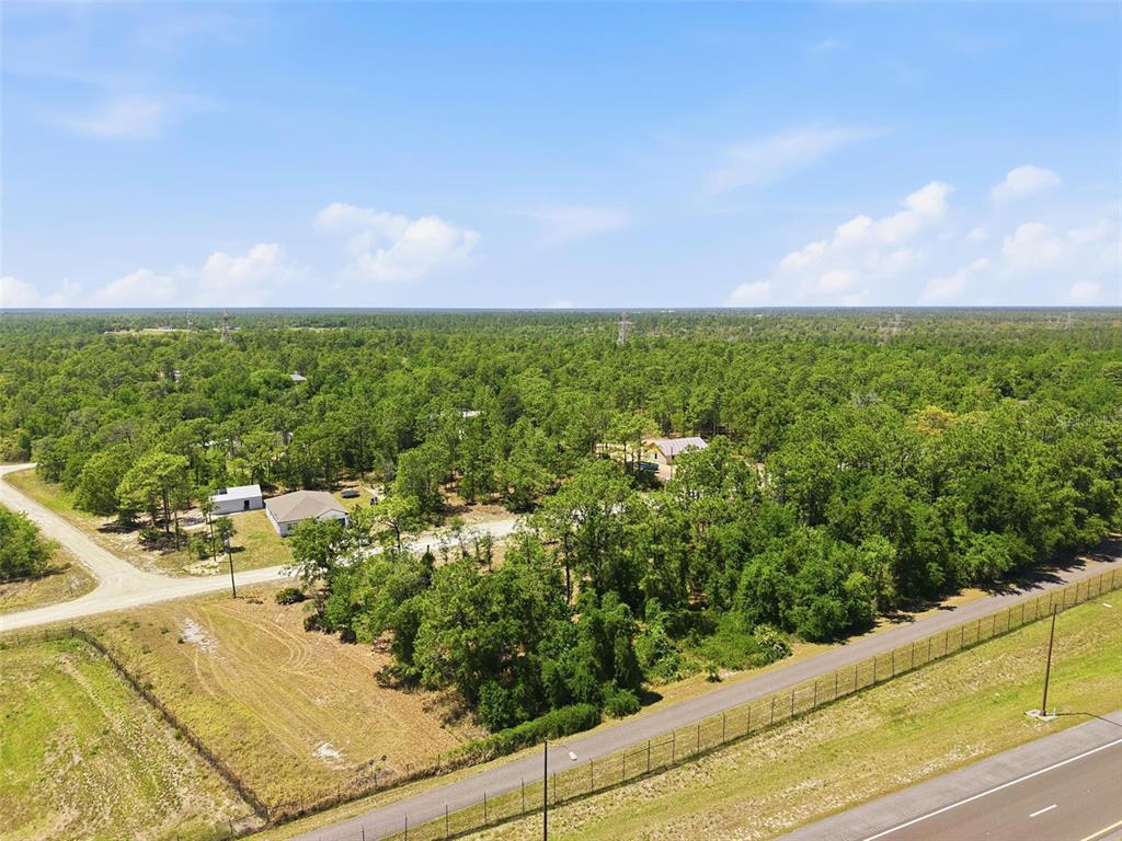 10 Cagarro Road Weeki Wachee, FL 34614 - Photo 15 of 21