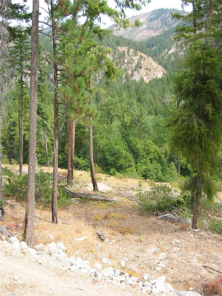 15395 Coyote Falls Road Entiat, WA 98822 - Photo 11 of 23 Gallery Image 11